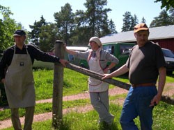 aaland-6.jpg