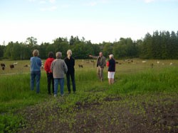 aaland-8.jpg
